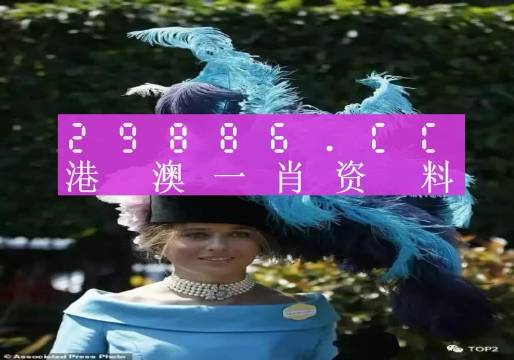 澳门一肖一码一中一肖l,澳门一肖一码一中一肖，探索背后的神秘与魅力