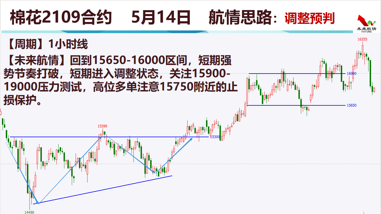 2025澳门精准跑狗图,探索澳门跑狗文化，精准跑狗图与未来的展望