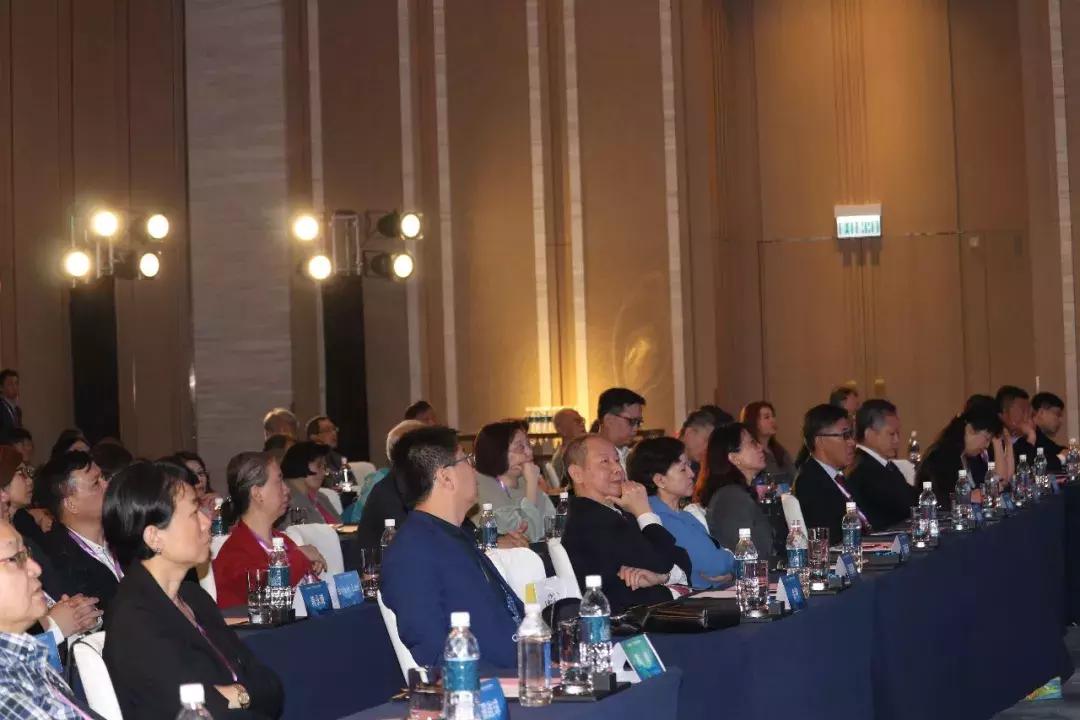 澳门挂牌之全篇100解挂,澳门挂牌之全篇解挂，深度探索与解析