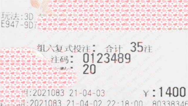 024澳门六今晚开奖结果,澳门今晚开奖结果，探索与期待