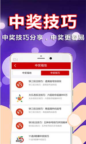 新澳门彩天天开奖结果查询,新澳门彩天天开奖结果查询，探索彩票世界的魅力与神秘