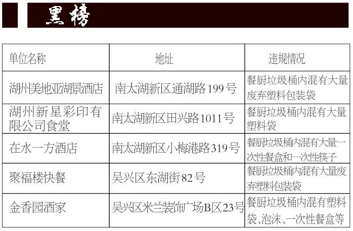 新澳开彩历史记录,新澳开彩历史记录，追溯彩票的起源与发展