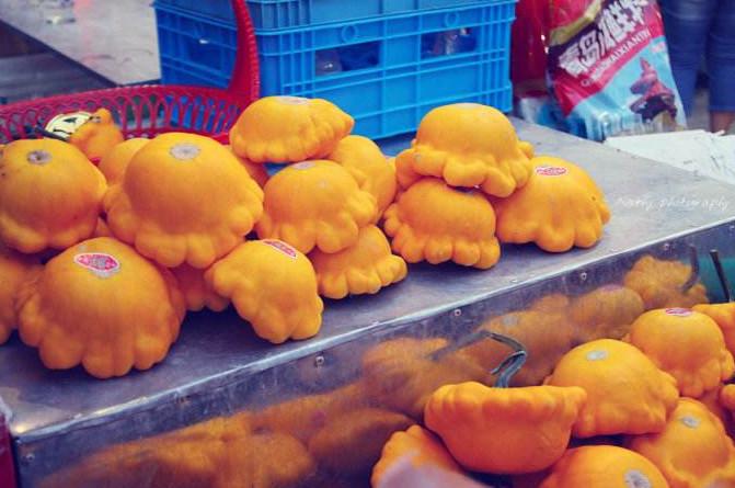 四不像正版资料凤凰,四不像正版资料与凤凰的传奇