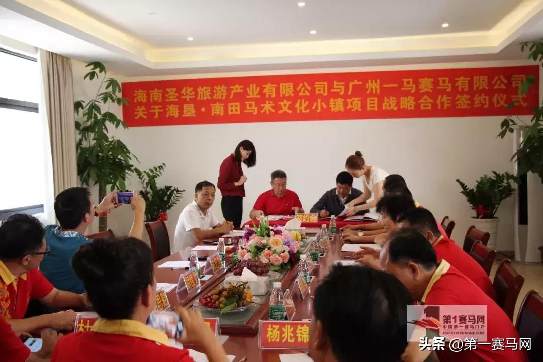 澳门今晚上开的什么特马,澳门今晚的马术赛事展望
