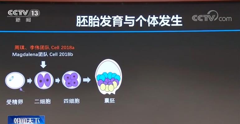 管家婆一肖一码必中一肖,揭秘管家婆一肖一码必中一肖的神秘面纱