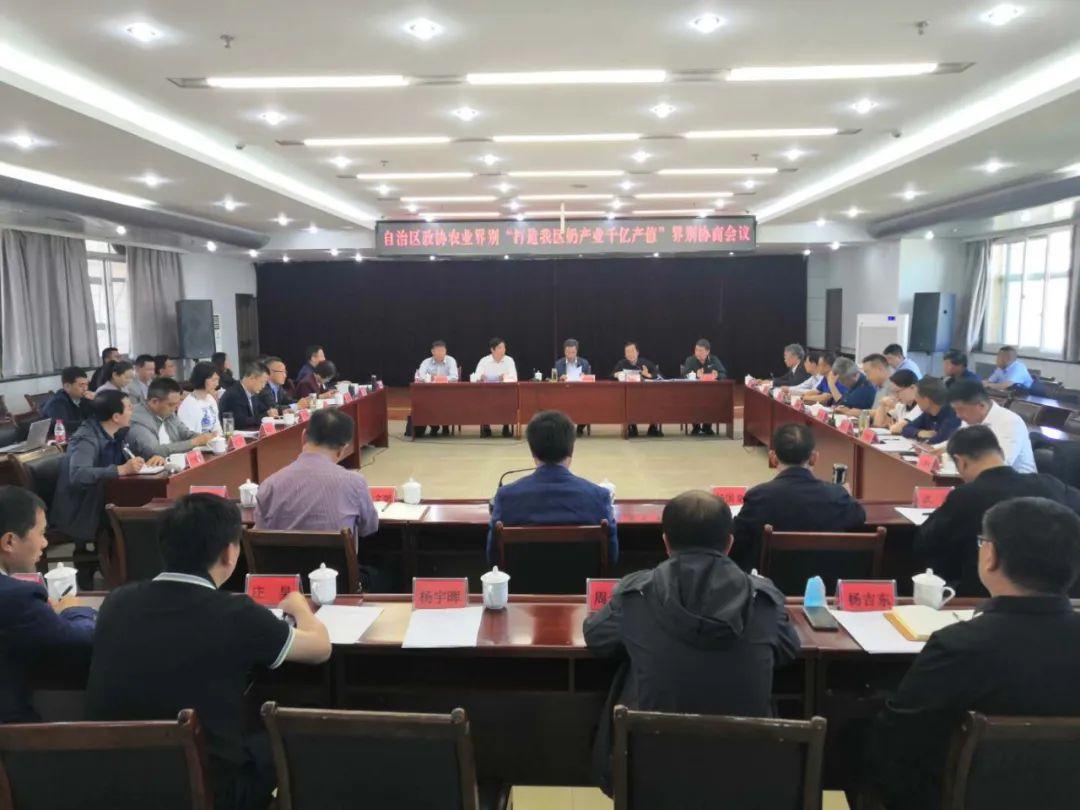 新澳姿料大全正版2025,新澳姿料大全正版2025，全面解析与深度探讨