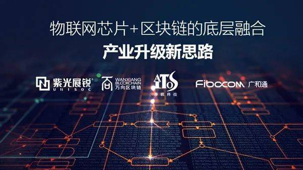 新澳门期期精准一肖,新澳门期期精准一肖，探索与解析