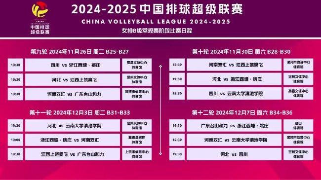 新澳门2025资料免费大全版,新澳门2025资料免费大全版，探索与预测