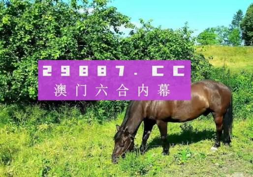 今晚澳门精准一肖一马,今晚澳门精准一肖一马，探索命运的神秘之门