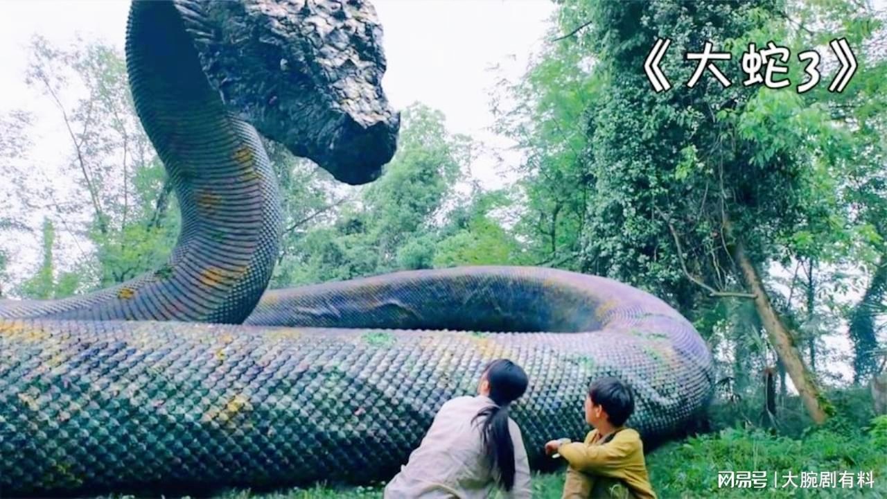 蛇蛋图澳门正版最新版,蛇蛋图澳门正版最新版，神秘与魅力的交织
