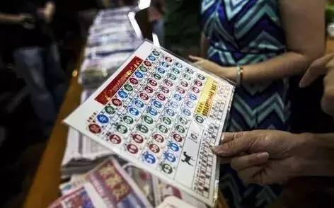 香港澳门开奖结果查询,香港澳门开奖结果查询，探索与解析