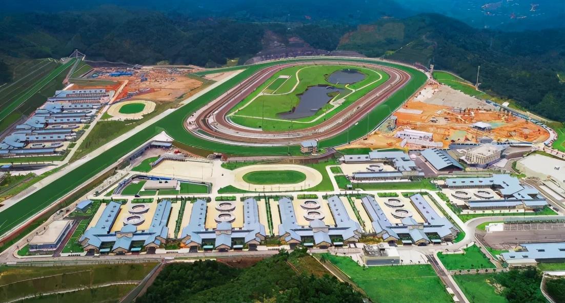 香港2025最准马资料免费,香港2025最准马资料免费——揭秘赛马世界的秘密