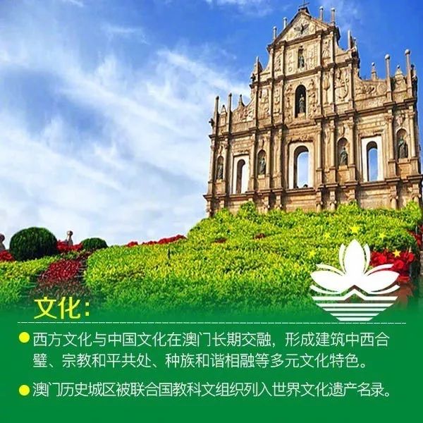 澳门最精准资料免费提供,澳门最精准资料免费提供——探索澳门的文化与历史