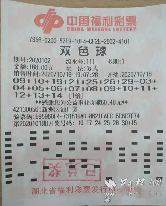 老澳门彩4949最新开奖记录,老澳门彩4949最新开奖记录，探索彩票世界的魅力与神秘