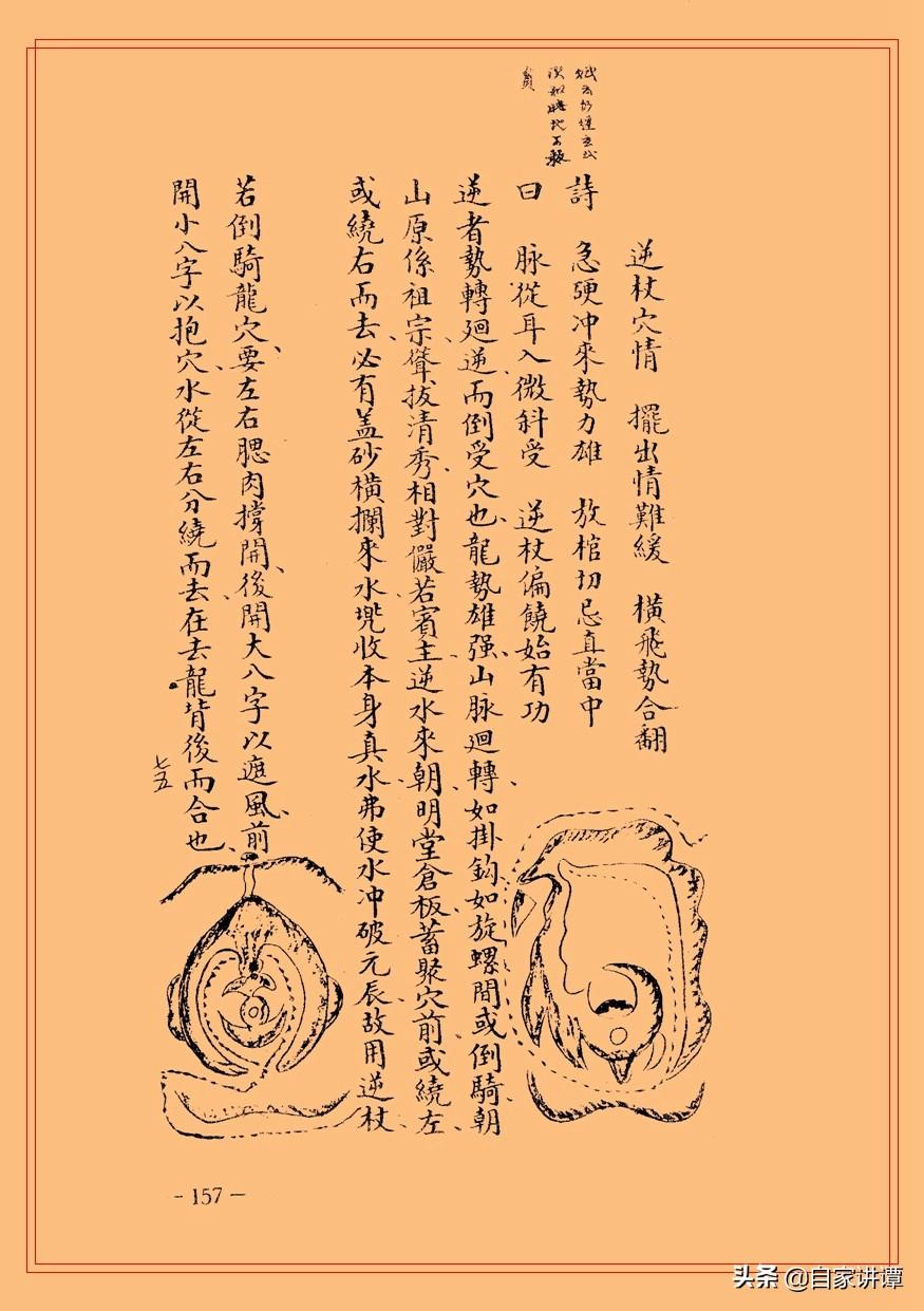 刘伯温选一肖期期准03期,刘伯温选一肖期期准03期，揭秘神秘预测背后的故事