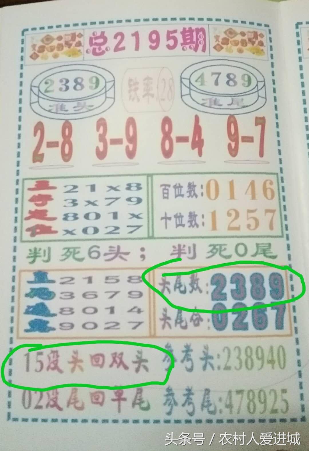 澳门天天期期精准最快直播,澳门天天期期精准最快直播，探索现代体育竞技与科技的融合之美