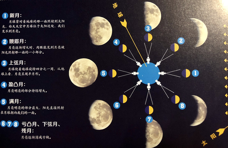 2025澳门6合彩官方网,探索澳门六合彩的世界，官方网站与未来展望（2025视角）