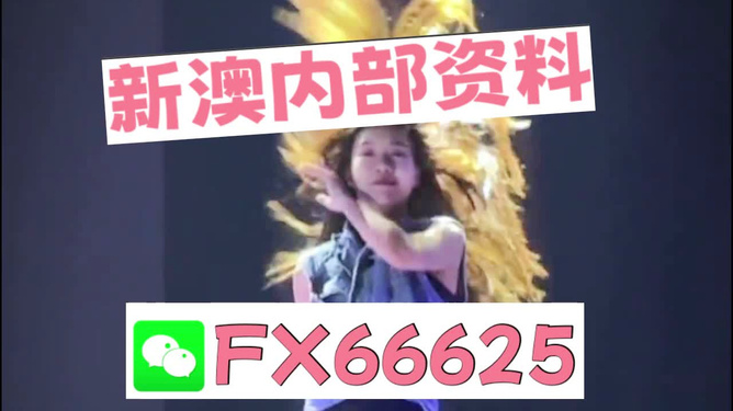 新澳门内部一码精准公开网站,探索新澳门内部一码精准公开网站——揭示其魅力与价值