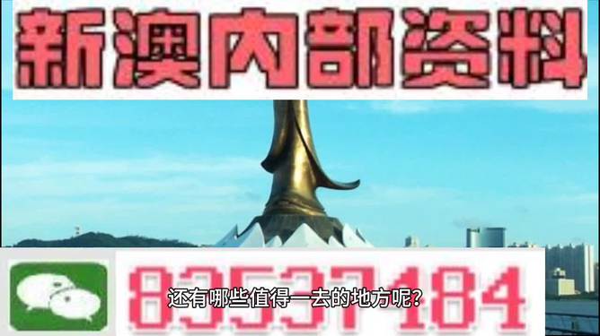 新澳内部期期精准,新澳内部期期精准，揭秘企业成功背后的秘密武器