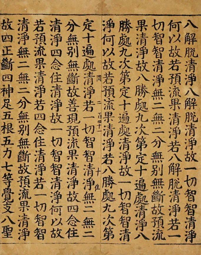 二四六天天彩资料大全网,二四六天天彩资料大全网，探索与发现