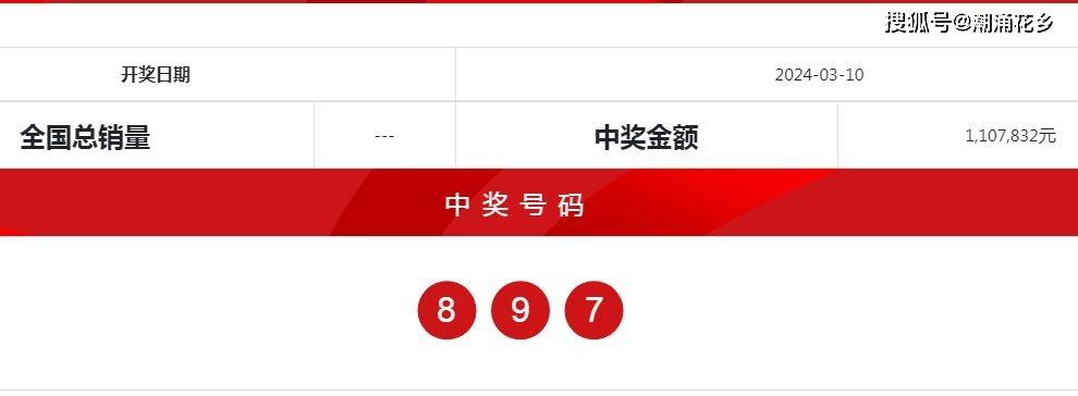 王中王网站最快开奖,王中王网站，最快开奖体验揭秘