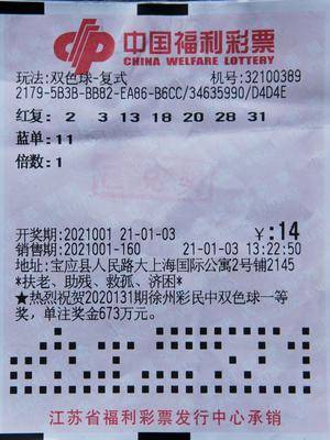 新澳天天开奖资料大全62,新澳天天开奖资料大全62，探索彩票世界的奥秘与魅力