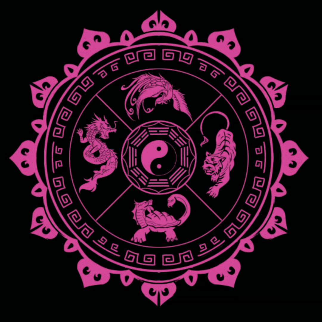资讯 第66页