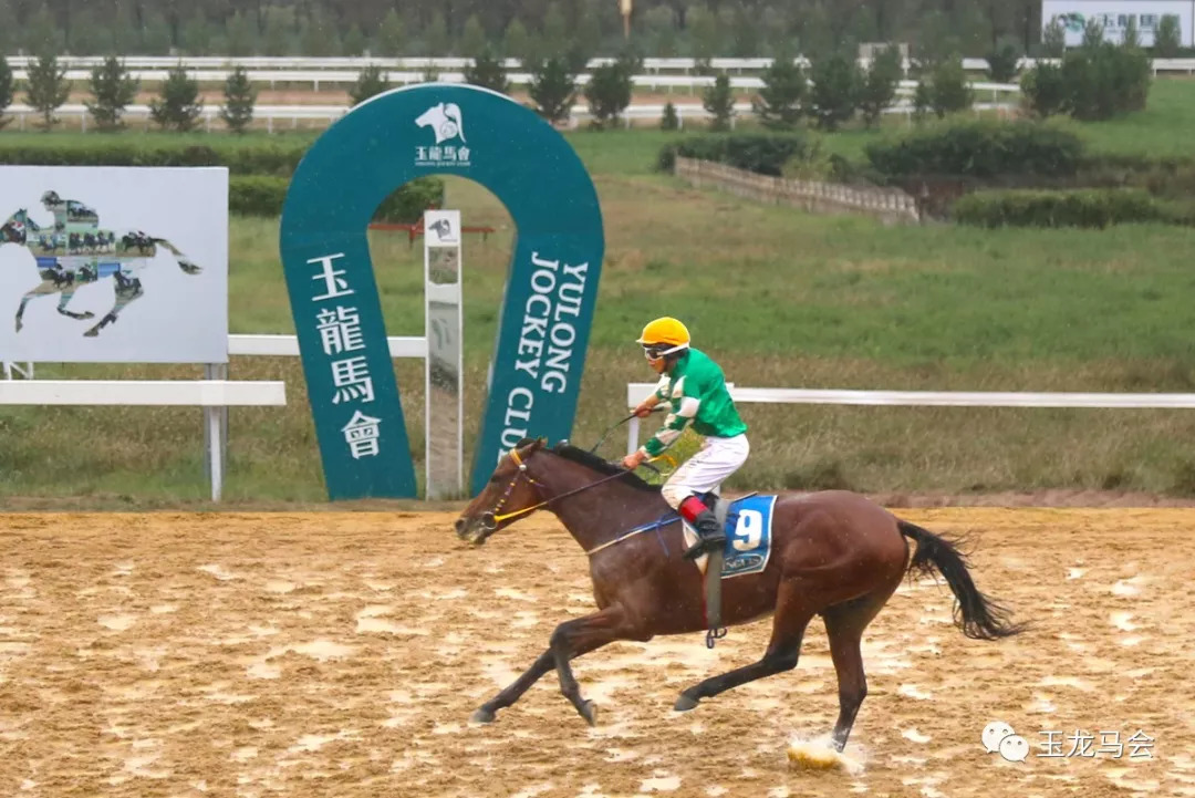 7777788888香港马,香港赛马界的璀璨明珠，77777与88888的传奇故事