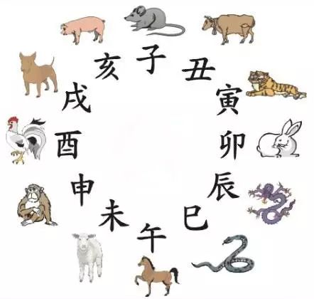 十二生肖与2025年之49个码,十二生肖与2025年之49个码，探寻文化符号与数字密码的交融