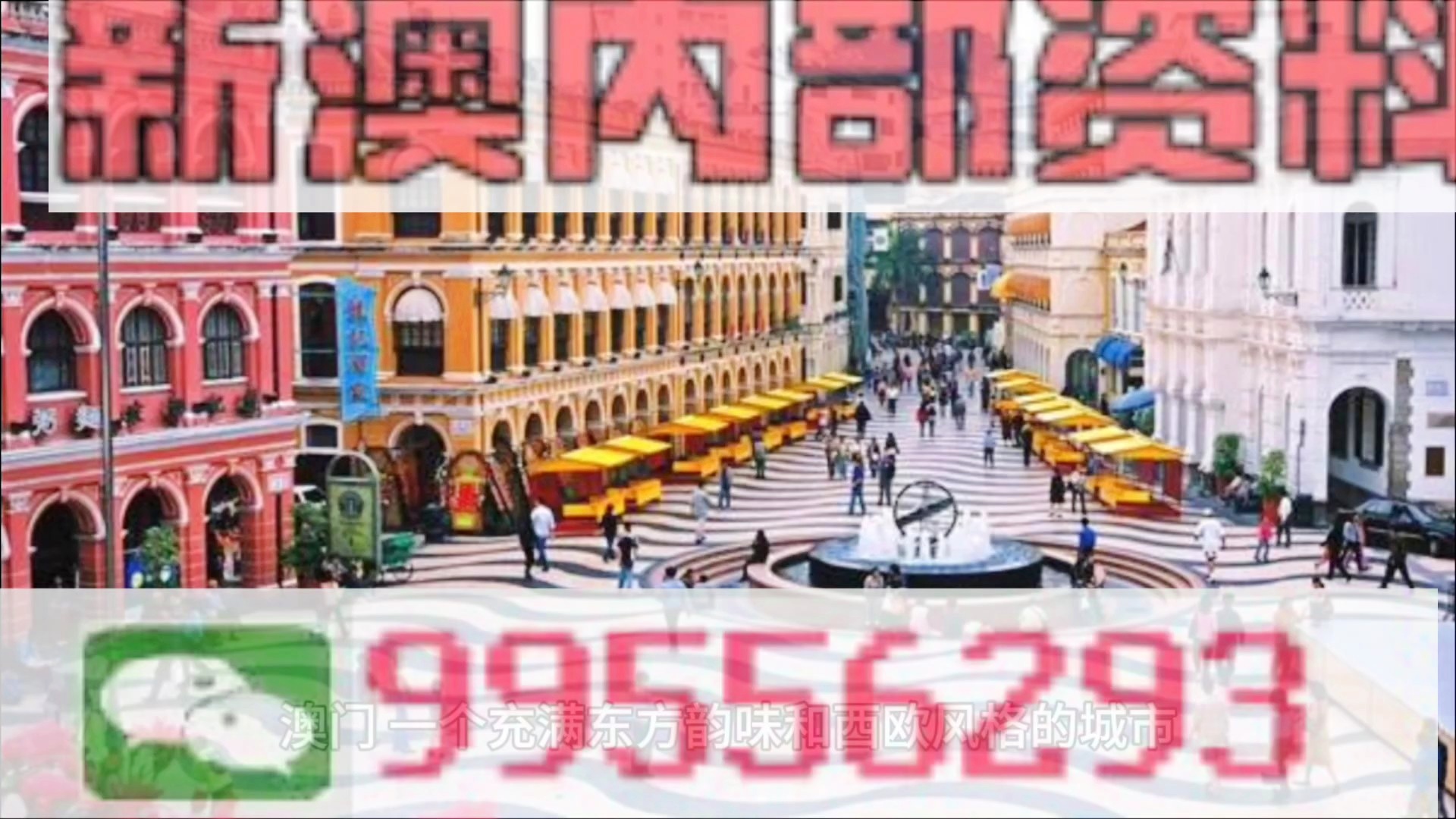 澳门最精准六肖期期准精选版,澳门最精准六肖期期准精选版，探索预测的魅力与智慧