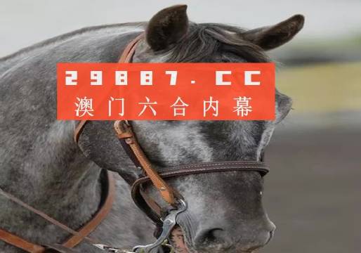澳门火麒麟一肖一码2025,澳门火麒麟一肖一码的秘密与未来展望（2025展望）