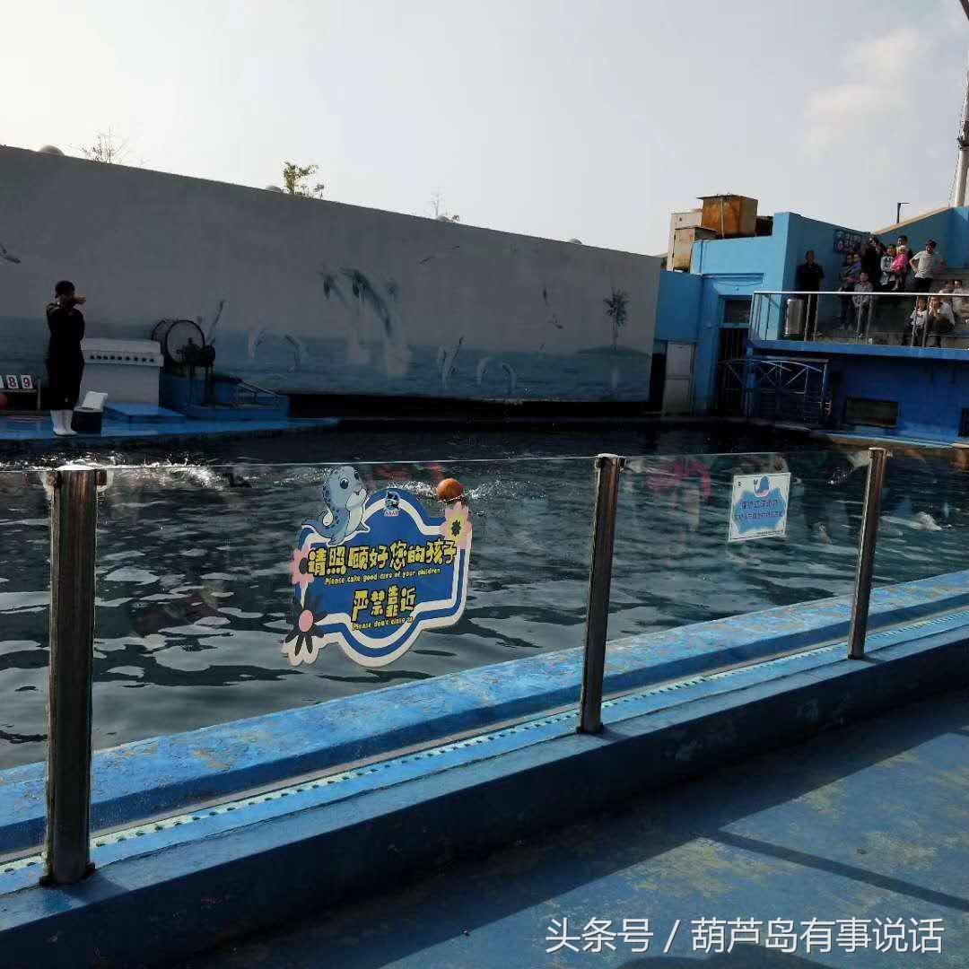 新澳资彩长期免费资料,新澳资彩长期免费资料，探索与利用