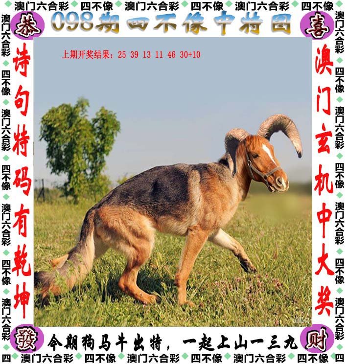 资讯 第36页