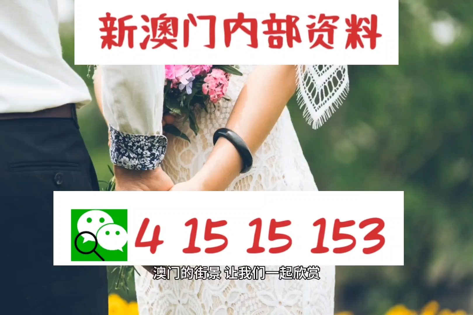 新澳精准资料免费提供219期,新澳精准资料免费提供，探索第219期的奥秘与价值