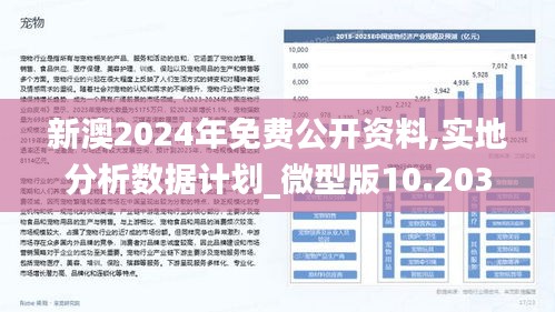 2025新澳今晚资料66期,探索新澳未来之门，今晚资料第66期的独特视角