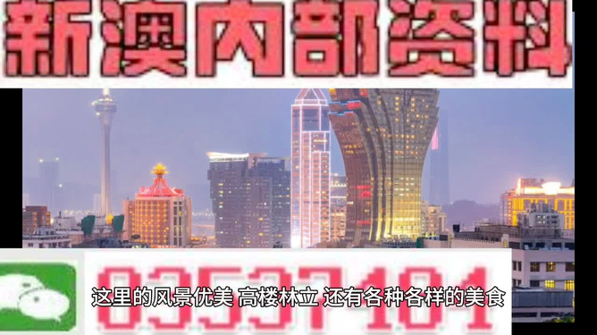 新澳最精准正最精准龙门客栈免费,新澳最精准龙门客栈，探索精准信息的奥秘