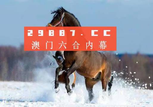 2023澳门天天彩免费资料,澳门天天彩的奥秘，探索2023年免费资料的世界