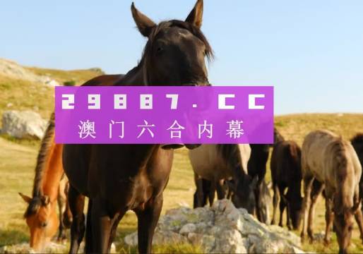 2025澳门管家婆一肖,澳门未来展望，探索2025年的管家婆一肖