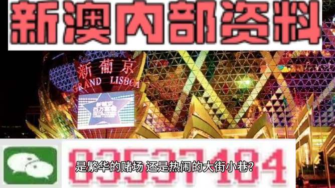 新澳最精准免费资料大全298期,新澳最精准免费资料大全298期，深度解析与前瞻性预测