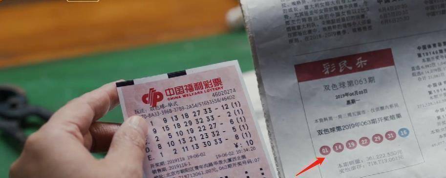 一码中持一一肖一码,一码中持一一肖一码，探索彩票奥秘与人生哲学