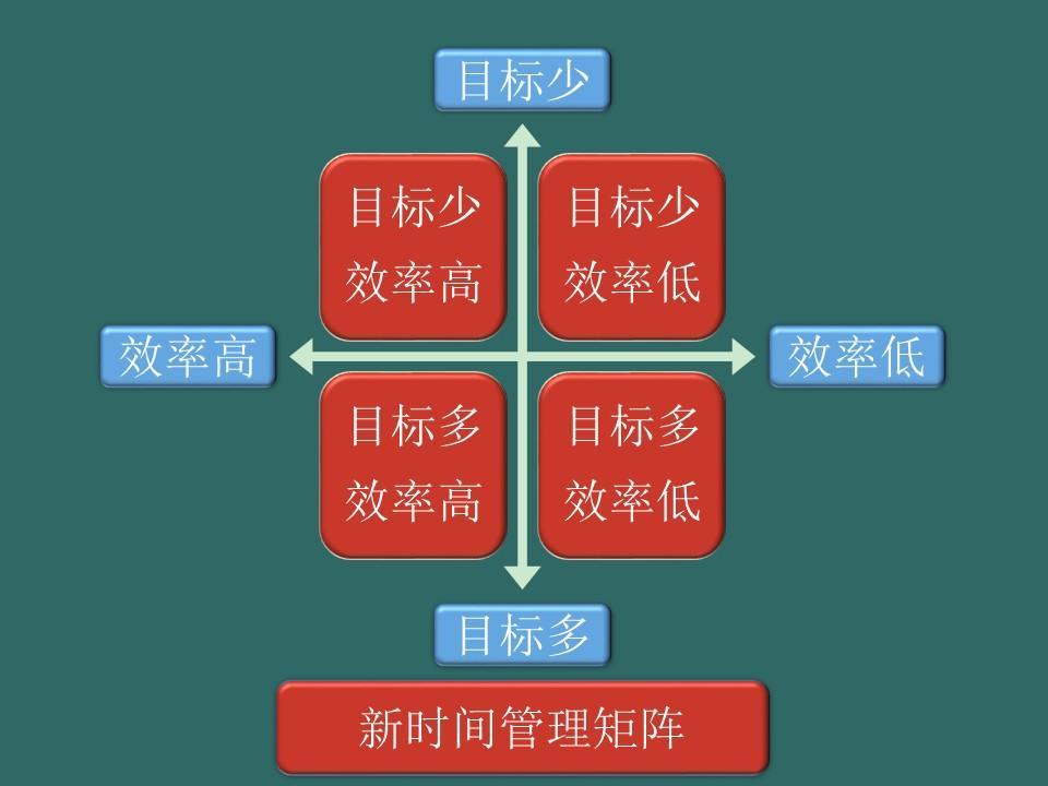 新澳门王中王100%期期中,新澳门王中王，揭秘期期中的奥秘与魅力