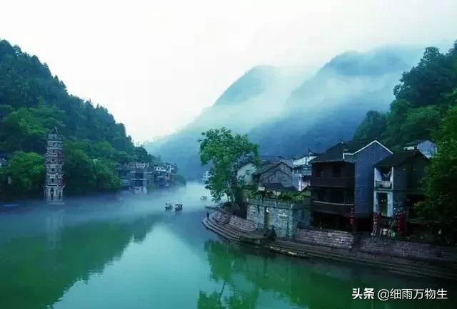 白小姐大前正版四不像一肖图,探索白小姐大前正版四不像一肖图的神秘面纱
