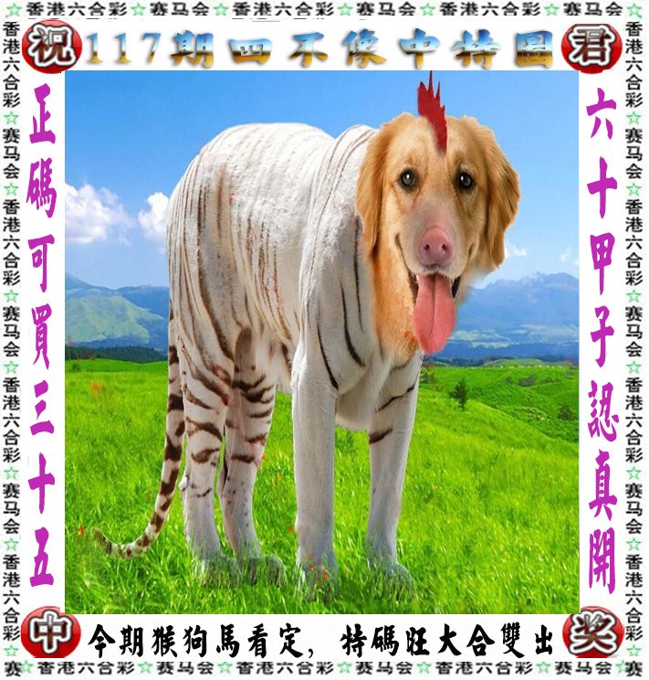 四不像323期图生肖图,四不像323期图生肖图，神秘符号背后的文化魅力