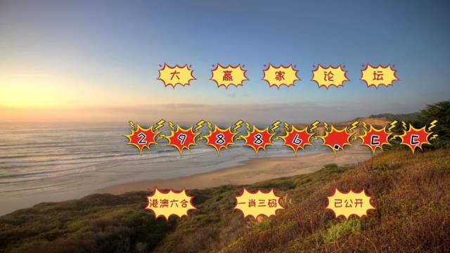 澳门天天开好彩大全 65期,澳门天天开好彩大全第65期，探索好运之门