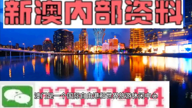 澳门大网站vip资料,澳门大网站VIP资料，探索其背后的故事与魅力