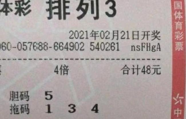 澳门平特一肖100中了多少倍,澳门平特一肖中奖倍数揭秘，梦想与现实交织的幸运故事