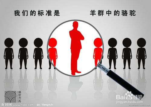 三亚人才网最新招聘信,三亚人才网最新招聘信息概览