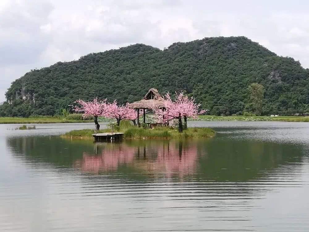 三生三世国外最新消息,三生三世国外最新消息