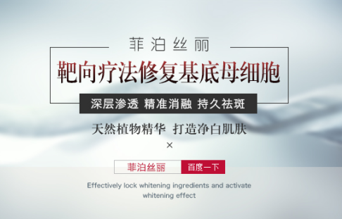 最准一肖一码精准资料,揭秘最准一肖一码精准资料，探寻成功的秘密