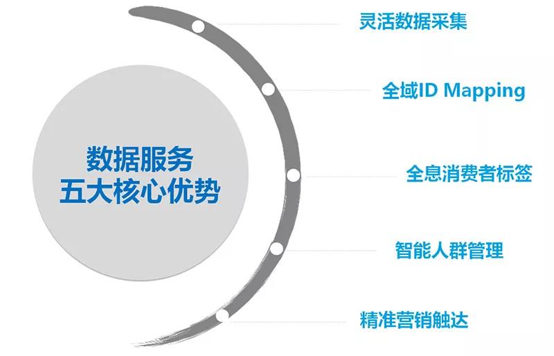 管家婆资料精准大全,管家婆资料精准大全，探索高效管理与数据的奥秘